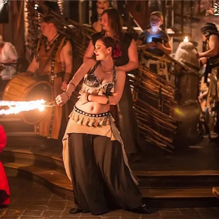 Diner Spectacle Medieval 